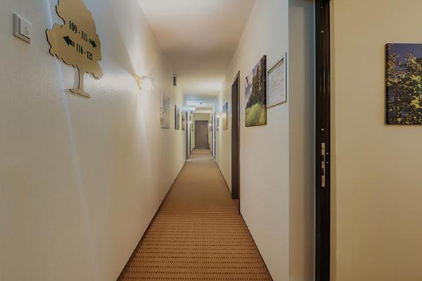 Hotel Eichengrund Cochstedt Hecklingen  Zewnętrze zdjęcie